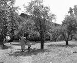 Geyserville: Joyce & Gregory by dormitory 7/13/1951