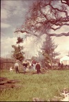 Boys watching Jim Stedman burning wood ( " ), 3/16/1947