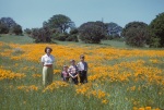 Joyce and boys, poppy field, Stanford, 4/50
