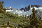 Joyce, Vogelsang, Yosemite, 8/50