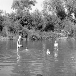Family swimming in the river at Geyserville 7/8/1951