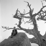 Gregory, Cypress Point, Pebble Beach 9/26/1954