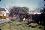 Palo Alto: back yard, Mom with flowers, 3/3/1955
