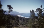 Pebble Beach: View from deck of our house, 6/11/1956