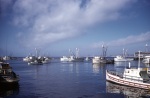 Fisherman's Wharf Monterey, 6/16/1956