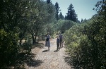 Joyce with Keith and Gregory on path up to the redwoods, Geyservillle, 7/56