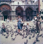 Joyce and the boys, feeding the pigeons, Venice, 6/60