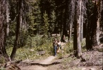 Joyce, Roger & Greg, White Wolf, Yosemite, 8/1/1961