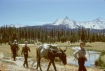 Joyce, Roger and Greg, trail to Glen Aulin, Yosemite, 8/61