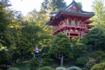 Japanese Tea Garden, San Francisco, July