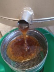 Centrifuging honey in Krupnik, August 2021