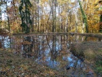 In the park of the Castle in Hluboká, October 2021