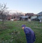 Baba in our "orchard" in Krupnik, Jan. 2022
