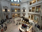 Natural HIstory Museum, Washington, DC 5/23