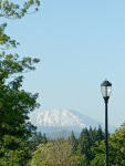 Mt. St. Helens viewed from the Washington State University campus near our house, 6/23