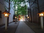 Path between tall buildings to a shrine, Shinjuku, Tokyo, 14 July 2017