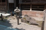 Entrance to the “Ninja Temple”, Kanazawa, 20 July