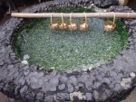 Eggs cooking in hot springs water, Kusatsu Onsen, 22 July