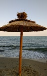 At our vacation apartment in Vlas on the Black Sea, 9 August