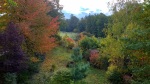 Fall foliage viewed from the master bedroom of our house, Hluboká, 12 October