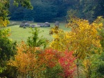 Fall foliage viewed from the master bedroom of our house, Hluboká, 1 October