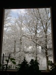 View out our dining room window, 18 December