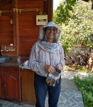 Collecting the honey in Krupnik, 28 August