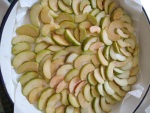 Drying apple slices, Krupnik, September