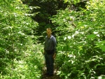 Greg enjoying a walk in the Vitosha national park not far from our Sofia apartment, 2 June