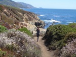 Point Lobos State Reserve, Carmel, California, 18 July