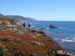 Point Lobos State Reserve, Carmel, California, 18 July