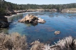 Point Lobos State Reserve, Carmel, California, 20 July