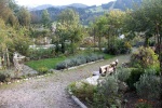 Community herb garden in Reith im Alpbachtal, Austria
