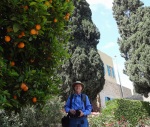 At the Mansion of Mazra'ih, 3 April