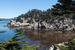 Point Lobos, 23 July