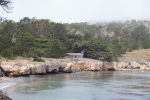 Old whaler's cabin, Point Lobos, 26 July