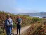 Point Lobos, 26 July