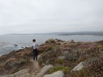 Point Lobos, 27 July
