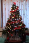 Christmas tree in Krupnik, 20 December