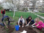 Youth garden beautification project in front of our apartment block in Sofia, 13 April