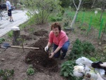 Youth garden beautification project in front of our apartment block in Sofia, 13 April