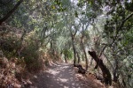 Walking in Garland Park, Carmel Valley, California, 22 July