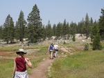 Tuolumne Meadows, Yosemite, 31 July