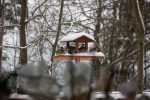 Our bird feeder in early January