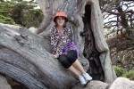 Point Lobos State Reserve, California, June