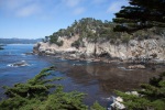 Point Lobos State Reserve, California, June