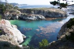 Point lobos State Reserve, California, July