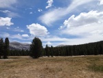 Tuolomne Meadows, Yosemite National Park, August